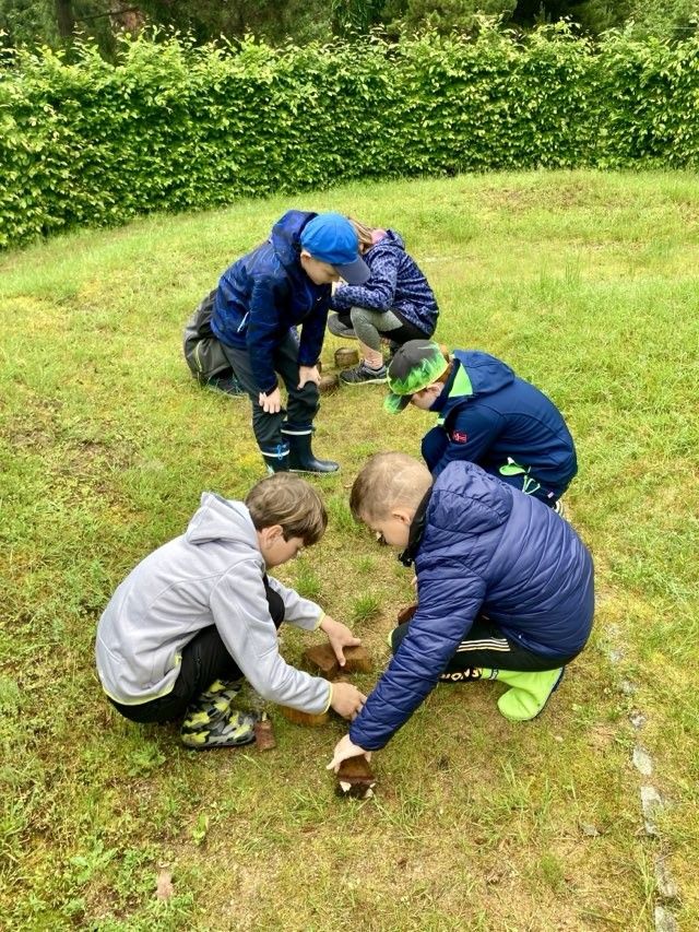 442733419_860563049441458_4613971954494826823_n