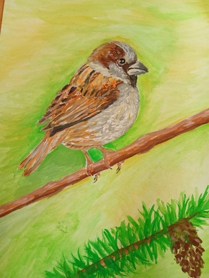 IMG_20260128_144924016_MFNR