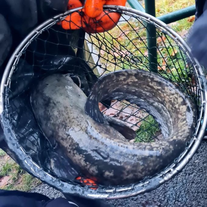 WhatsApp Image 2025-12-18 at 11.17.01 (3)